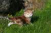 dannaimg_7171_small.jpg