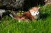 dannaimg_7176_small.jpg