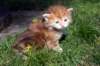dannaimg_7180_small.jpg