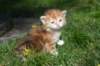 dannaimg_7181_small.jpg