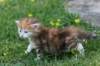 dannaimg_7187_small.jpg