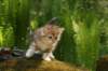 img_7789_small.jpg