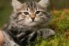 img_7635_small.jpg