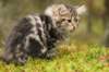 img_7647_small.jpg