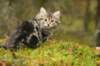 img_7672_small.jpg