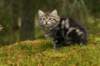 img_7755_small.jpg