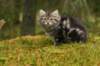 img_7764_small.jpg