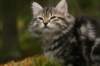 img_7810_small.jpg