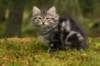 img_7814_small.jpg