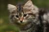 img_7820_small.jpg