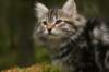 img_7821_small.jpg