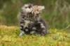 img_7828_small.jpg