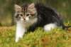 img_7966_small.jpg