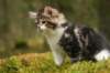 img_7969_small.jpg