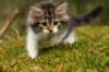 img_7976_small.jpg