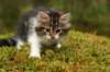 img_7978_small.jpg
