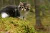 img_7981_small.jpg