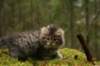 img_8018_small.jpg