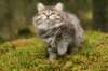 img_8056_small.jpg
