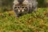 img_8073_small.jpg