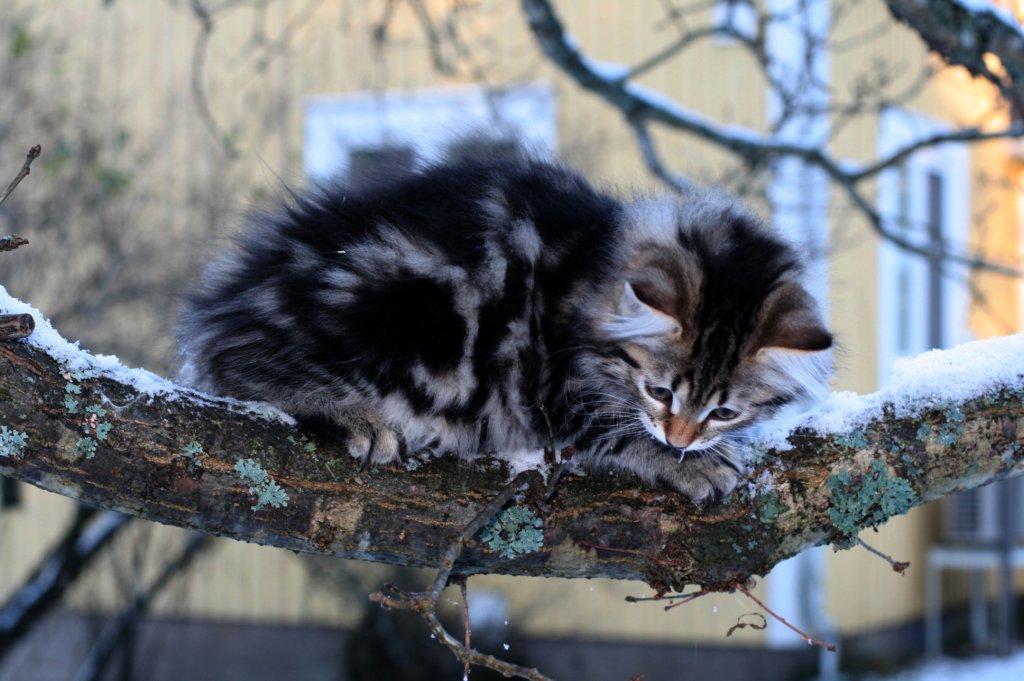 eeva9weeks.jpg