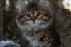 eunike9weeks14_small.jpg
