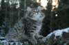 eunike9weeks17_small.jpg