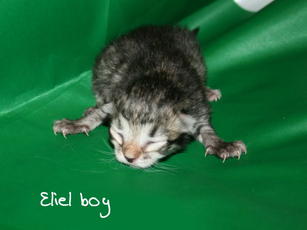 elielboy4.jpg
