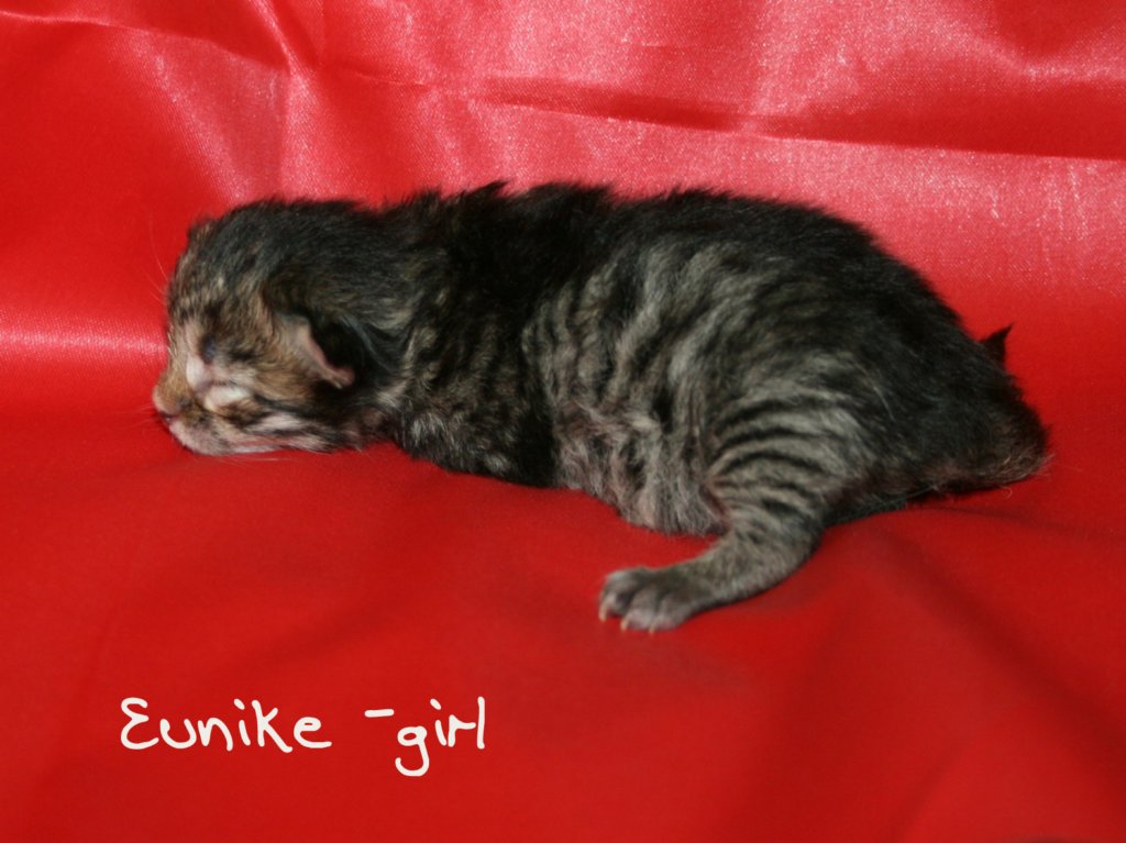 eunikegirlmackerel.jpg