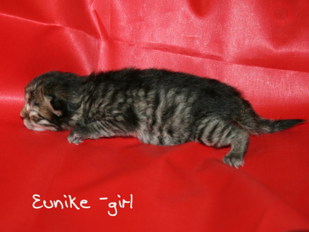 eunikegirlmackerel5.jpg