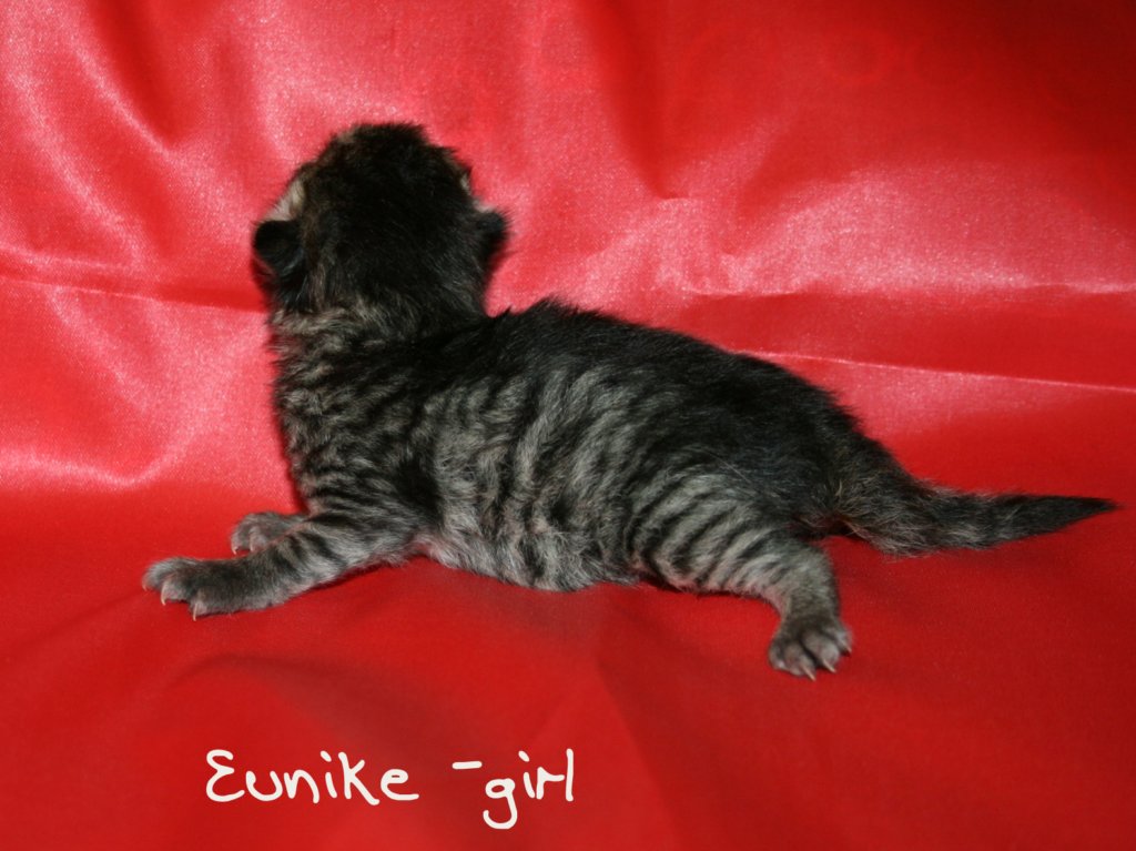 eunikegirlmackerel7.jpg
