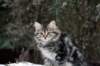 img_9884_small.jpg