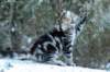 img_9888_small.jpg