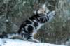 img_9890_small.jpg