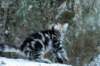img_9891_small.jpg
