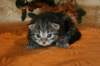 img_2674_small.jpg