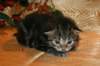 img_2676_small.jpg