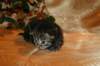 img_2677_small.jpg