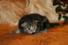 img_2679_small.jpg