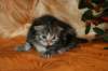 img_2683_small.jpg