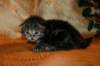 img_2684_small.jpg