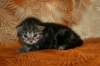 img_2700_small.jpg