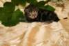 img_1792_small.jpg