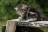 img_5284_small.jpg