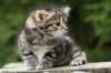 img_5293_small.jpg