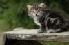 img_5351_small.jpg