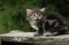 img_5354_small.jpg