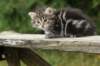 img_5364_small.jpg