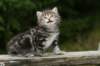 img_5394_small.jpg