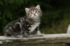 img_5396_small.jpg